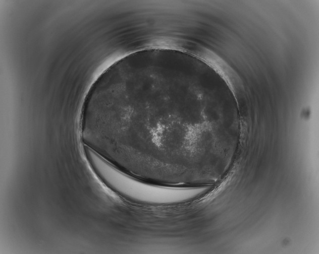 X0000099311141200805021308