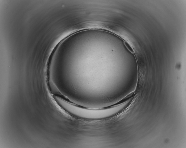X0000099311142200805021308