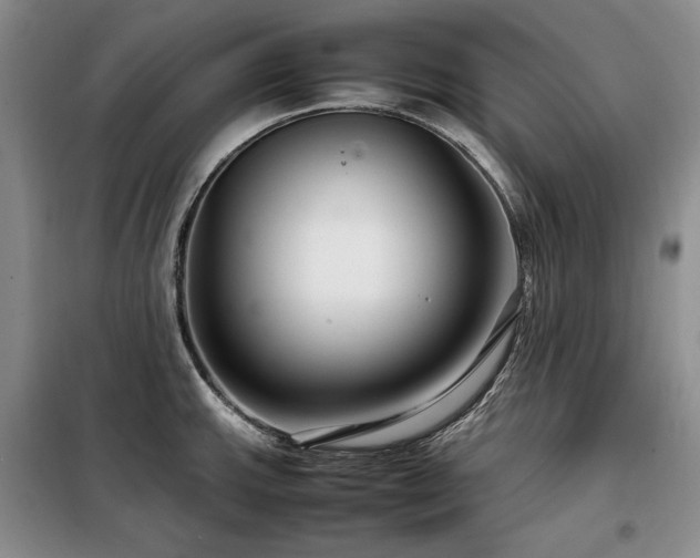 X0000099311143200805021308