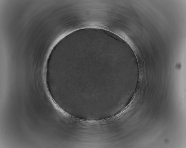 X0000099311144200805021308