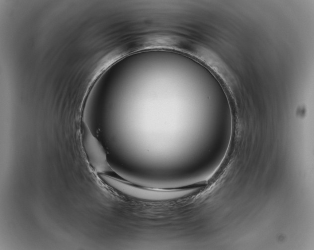 X0000099311145200805021308