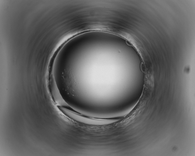 X0000099311147200805021308