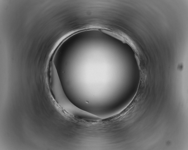 X0000099311148200805021308