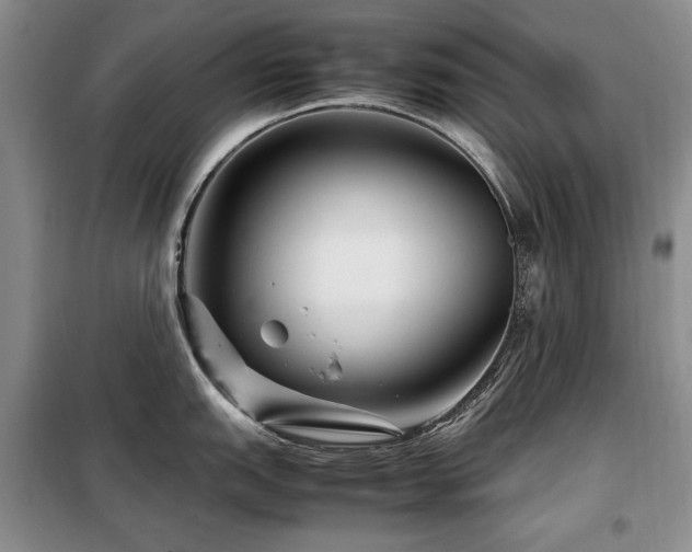 X0000099311151200805021308