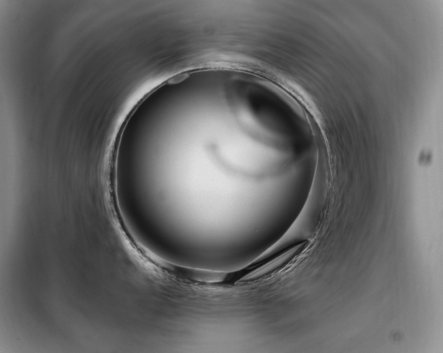 X0000099311152200805021308