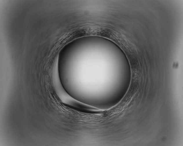 X0000099311153200805021307