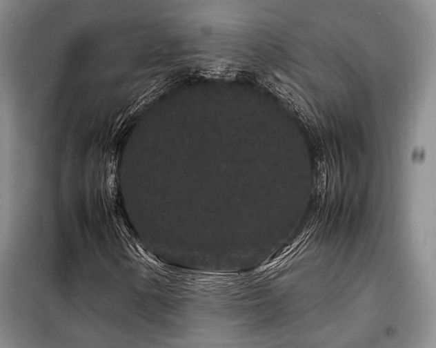 X0000099311154200805021307