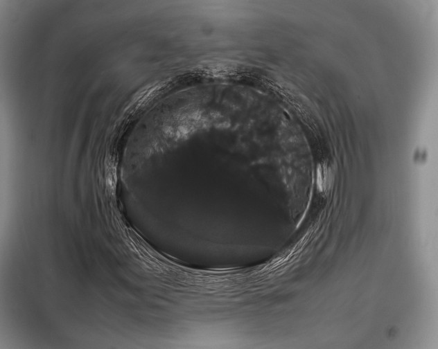X0000099311155200805021307