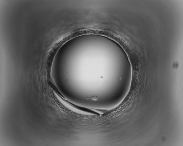 X0000099311159200805021307