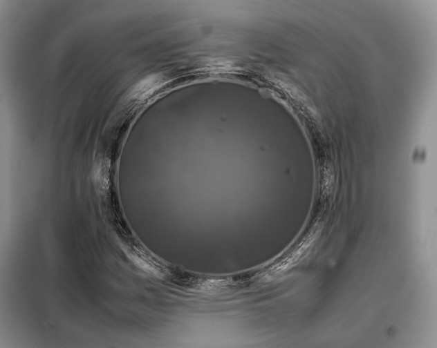 X0000099311161200805021307