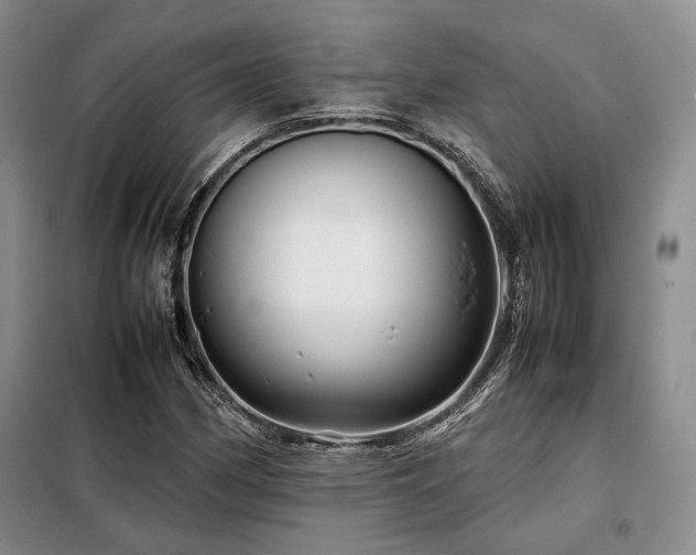 X0000099311162200805021307