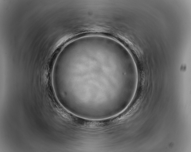 X0000099311163200805021307