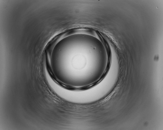 X0000099311165200805021307