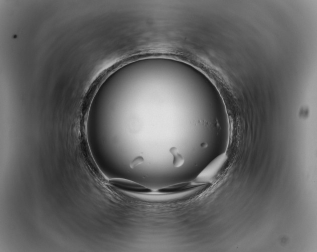 X0000099311166200805021307