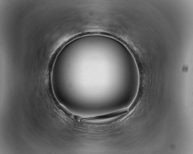 X0000099311167200805021307