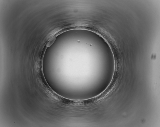 X0000099311169200805021307