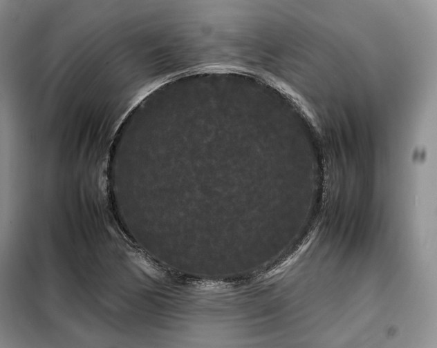 X0000099311170200805021307