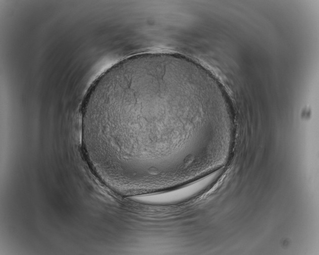 X0000099311171200805021307