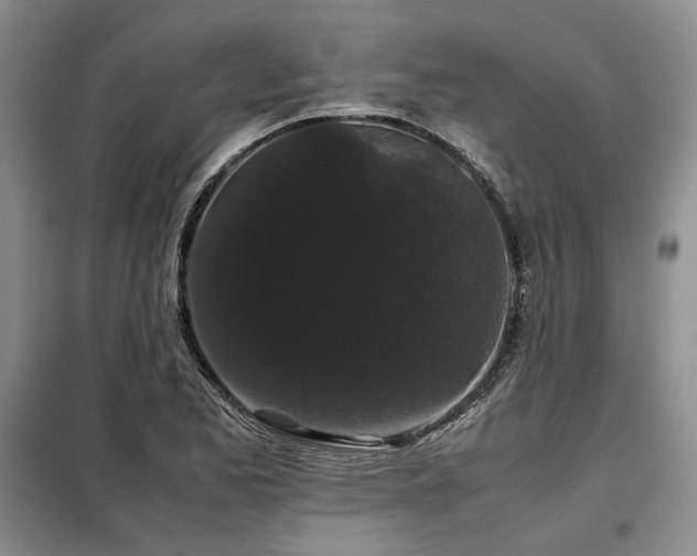 X0000099311173200805021307