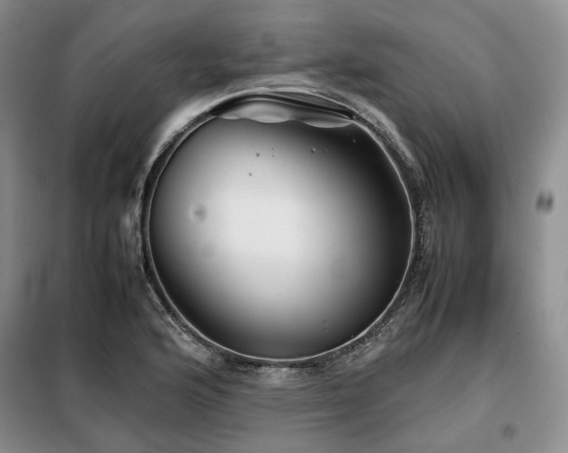 X0000099311176200805021307