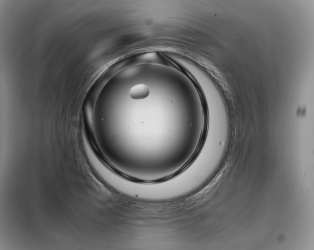 X0000099311177200805021307