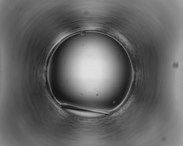 X0000099311178200805021307