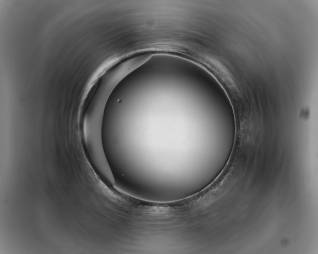 X0000099311180200805021307