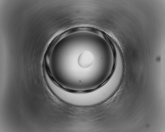 X0000099311181200805021307