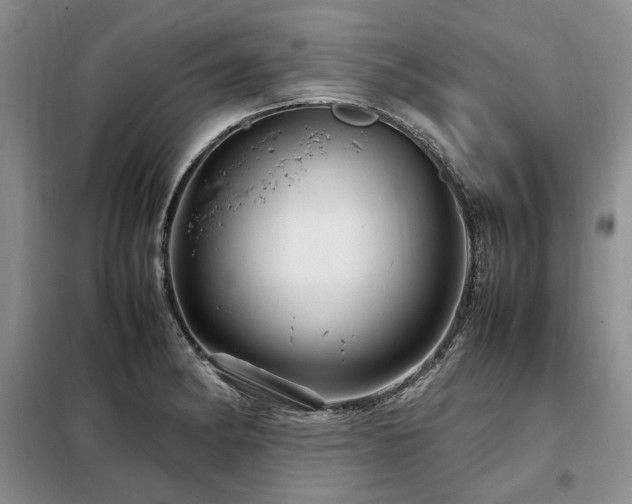 X0000099311182200805021307