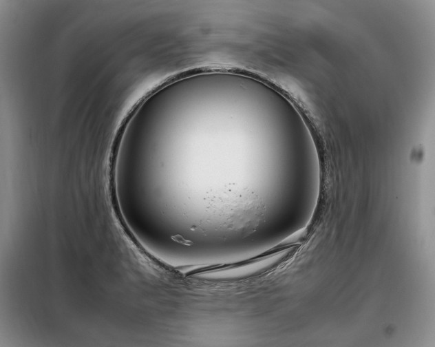 X0000099311183200805021307