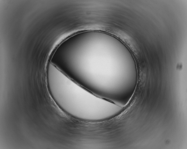 X0000099311184200805021307