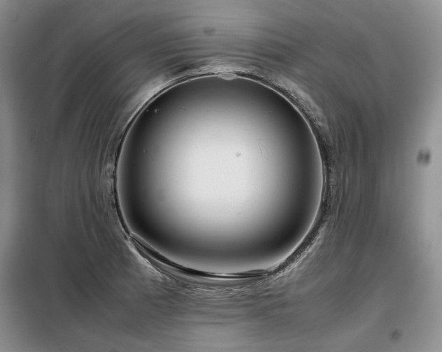 X0000099311185200805021307