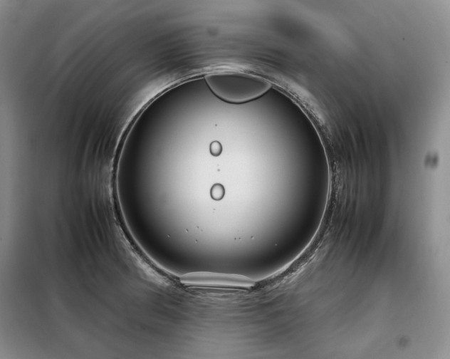 X0000099311186200805021307