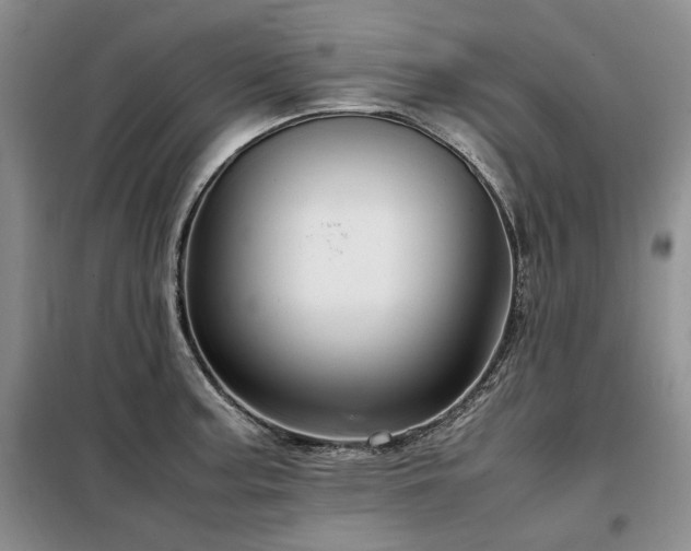 X0000099311187200805021307