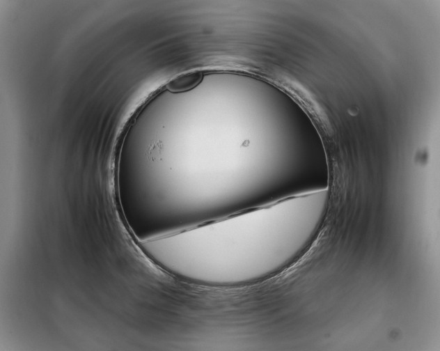 X0000099311188200805021307