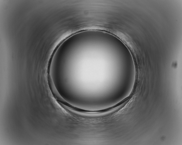 X0000099311189200805021307