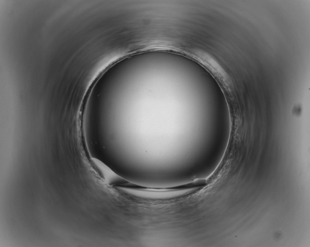 X0000099311190200805021307