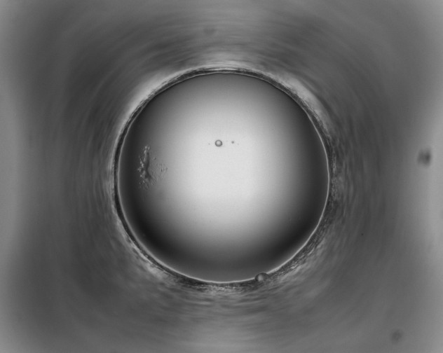 X0000099311191200805021307