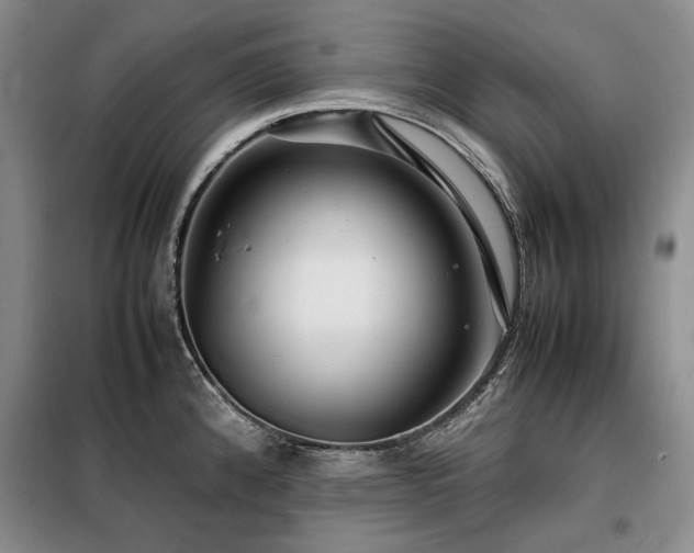 X0000099311192200805021307