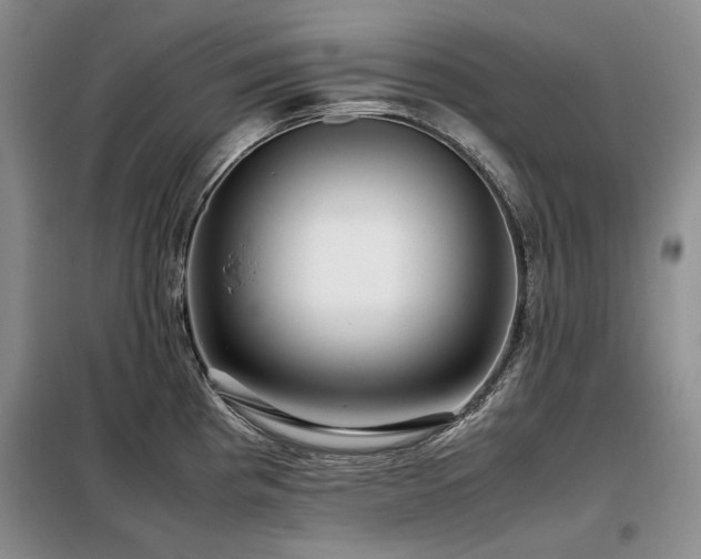 X0000099311193200805021307