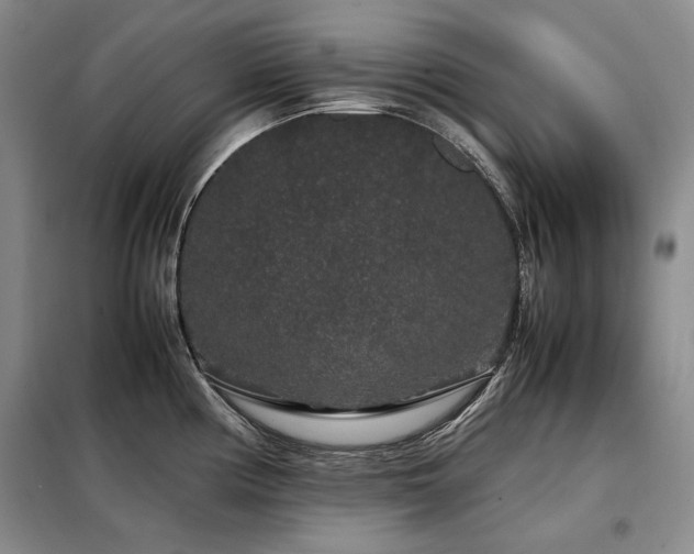 X0000099311194200805021307