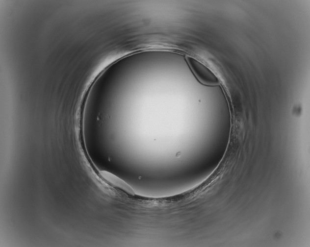 X0000099311195200805021307