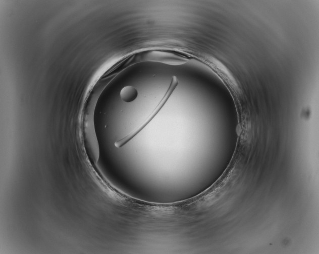 X0000099311196200805021307