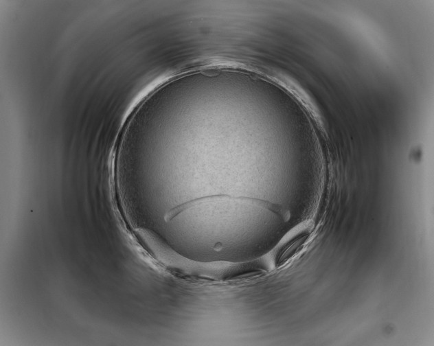 X0000099311198200805021307