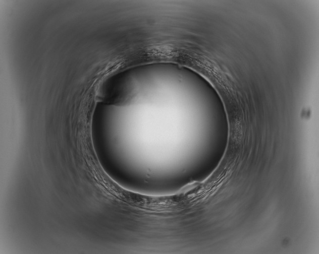 X0000099311201200805021306