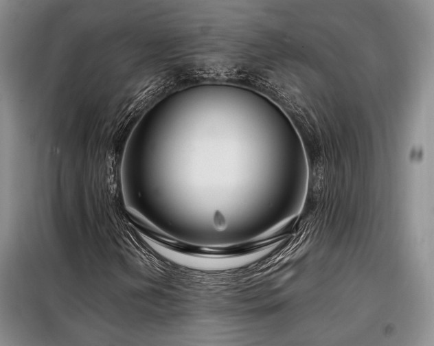 X0000099311202200805021306