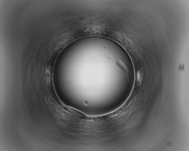 X0000099311203200805021306