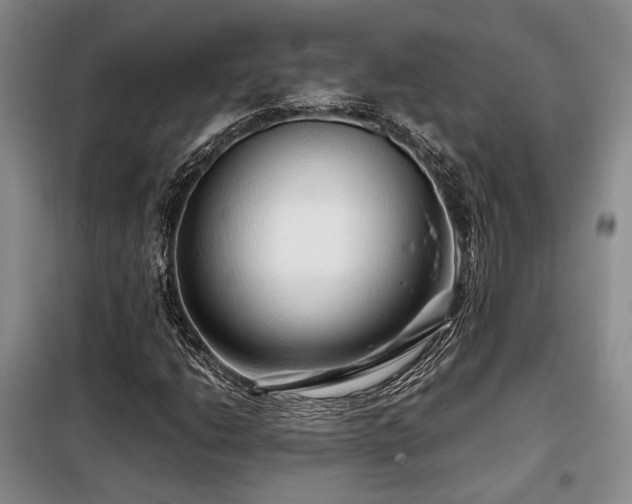 X0000099311206200805021306