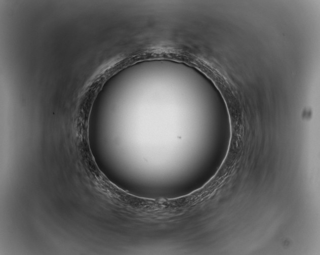 X0000099311207200805021306