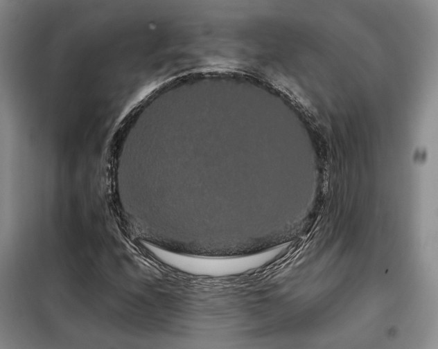 X0000099311208200805021306
